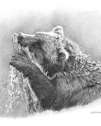 Bear Art, Grizzly Bear Art, Bear Art Print, Brown Bear Print, Bear Hunting, Grizzly Bear Hunting, Limited Edition Print, Archival Art Print, Fine Art Print, Limited Edition Prints, European Brown Bear, Bear Aware, Art Print Gallery, Bear Fishing, Wild Bear
