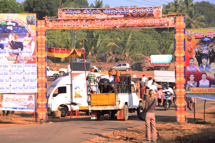 Entrance to the Kambala Track