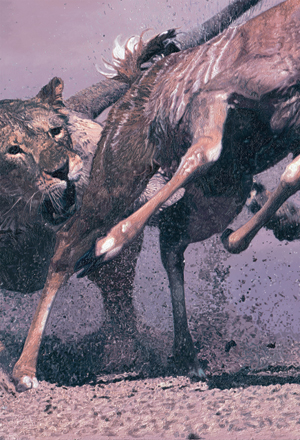 Part of the painting 'Fierce Pursuit', oil on canvas, African Lioness chasing a Kudu