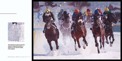 Sample of a double page spread of 100th Running - White Turf in the Catalogue