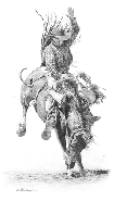 Original pencil drawing ‘Split Second II,’ showing a cowboy on a bucking bronco during a rodeo, for larger images and further information click on this image.
