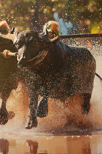 Project Kambala - The Million Color Oil Painting, in production