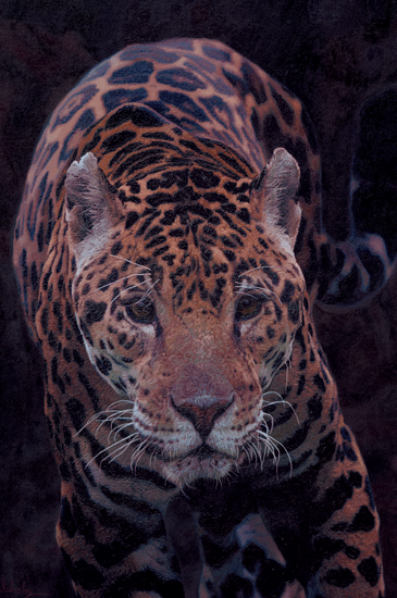 A part of the original painting 'Breaking Shadows' depicting a South American Jaguar, this painting contributes funds to Panthera's Jaguar Projects.