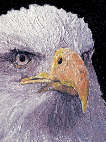 An Oil Painting of the head of a Bald Eagle