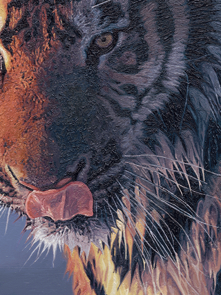 Oil Painting of a Siberian Tiger Breaking Ice