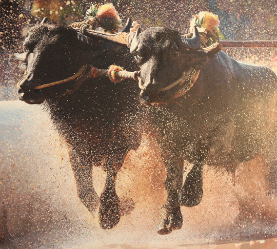 Project Kambala, Dynamic Realist Painting in Development