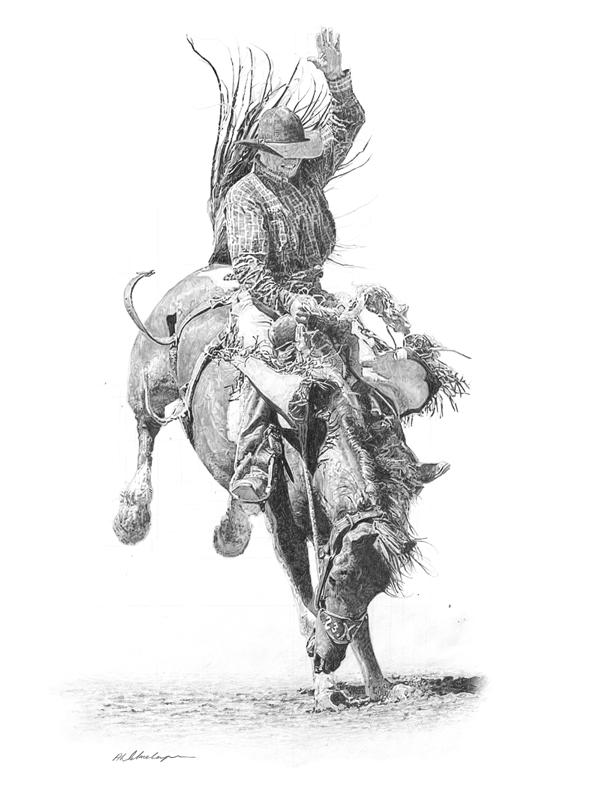 A Drawing of a rodeo rider during a split second at the Calgary Stampede
