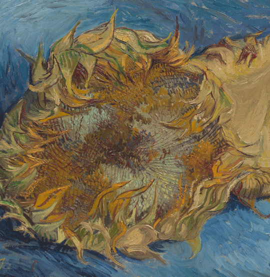 Van Gogh, Sunflowers 1887